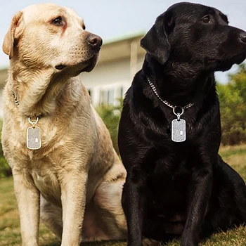 GUCY Naujas Custom Dog Tag Pakabukas Su Teniso Grandinės Žavesio Karoliai Hip-Hop Papuošalai Dovana