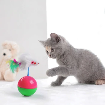 1pc Naują Atvykimo Patvarus Naminių Kačių Žaislai Mimi Mėgstamą Kailio Pelės Masažuoklis Kačiukas Kačių Žaislai, Plastikiniai Play Kamuoliukus skirtus Gaudyti Kačių Reikmenys