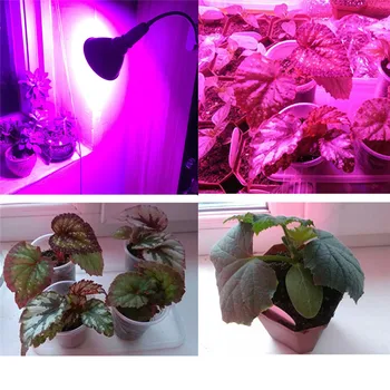 Visą Spektrą 290 LED Patalpų Augalų Auga Lemputes E27 Lempa Daržovių Cultivo Augimo, Hidroenergijos, Saulės Fito Lempos Gėlių Electron
